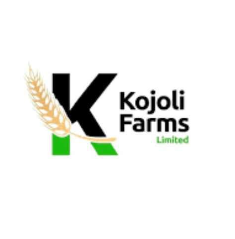 KOJOLI KOJOLI